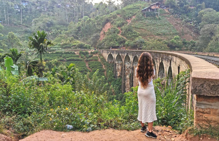 One Day Sri lanka Highlights