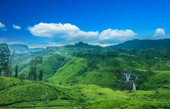 Sri Lanka Cultural Triangle Tour