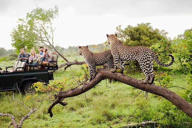 Safari in National Parks