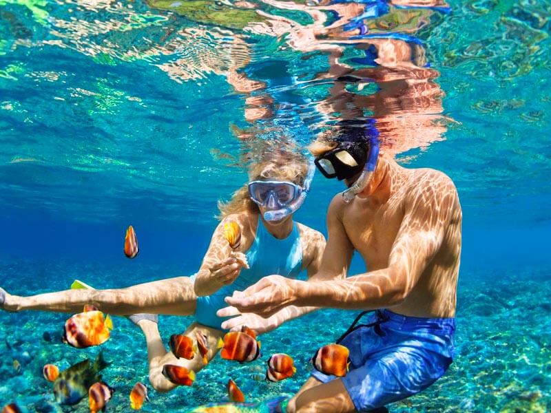 Snorkeling & Diving