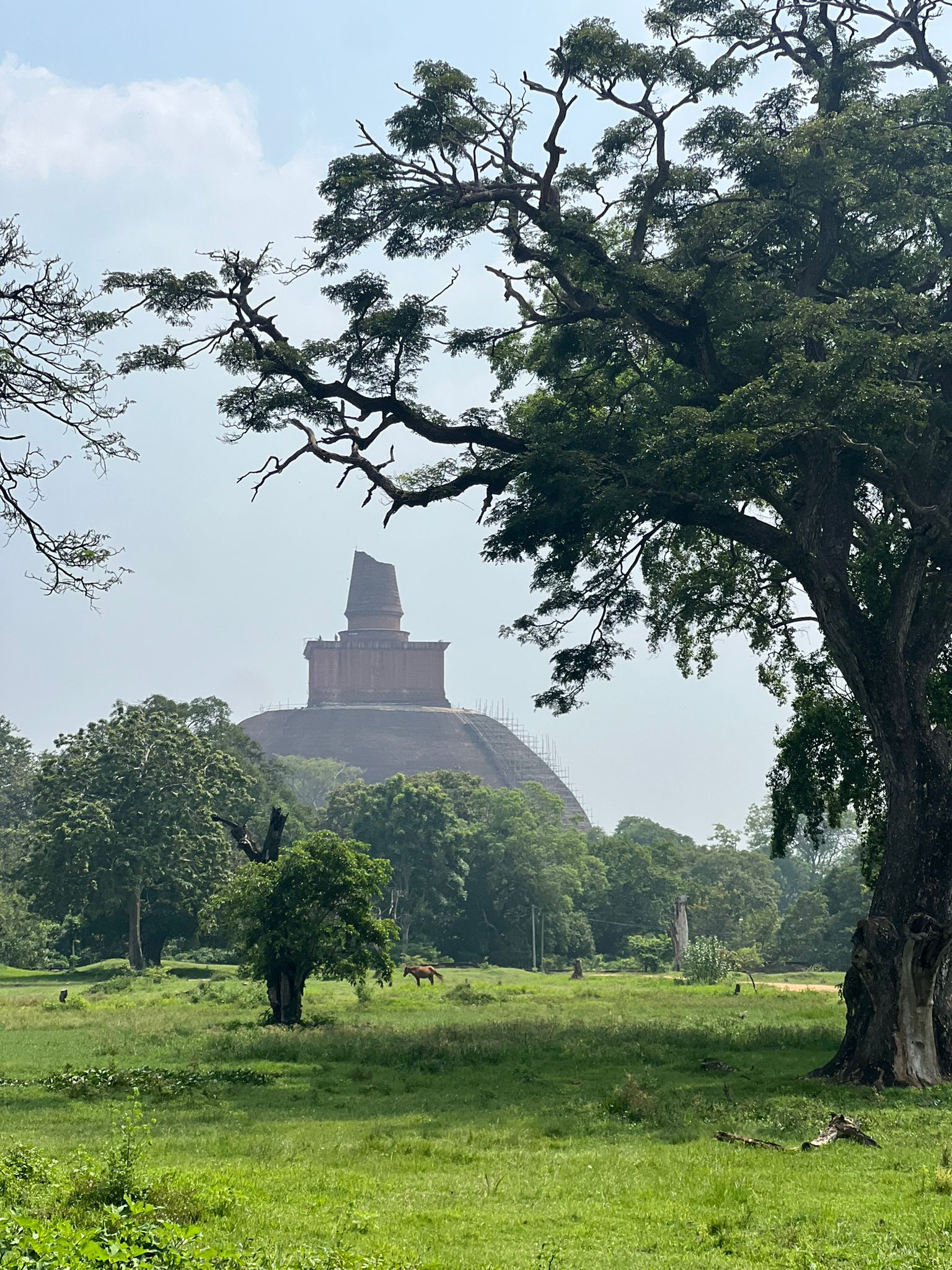 Anuradhapora